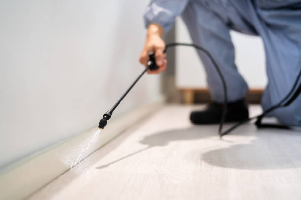 Licensed Mosquito Control service in Red Bud, IL - Show Me Pest Control