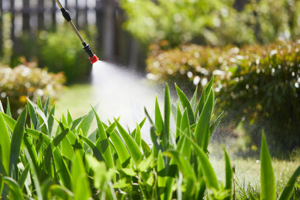 24/7 Emergency Mosquito Control experts in Red Bud, IL