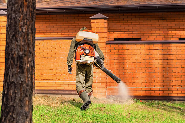Top rated local Mosquito Control specialists in Red Bud, IL